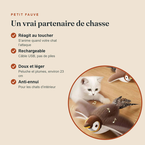 Les avantages de l'oiseau interactif