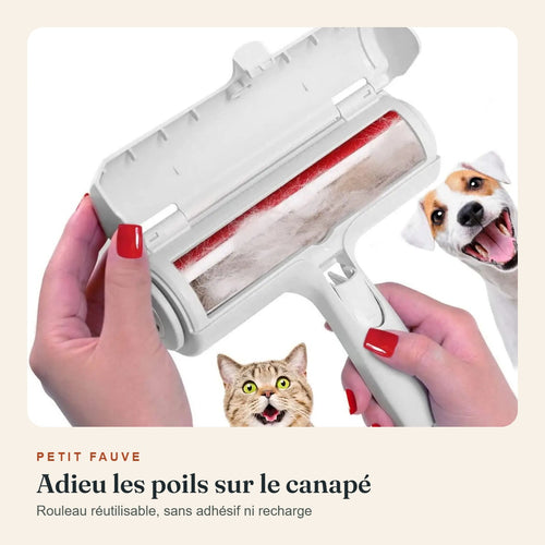 Rouleau anti-poils réutilisable, Petit Fauve